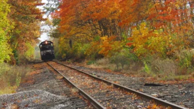 A train approaches on tracks surrounded by vibrant autumn foliage. Trees in red, orange, and yellow create a picturesque, serene scene.